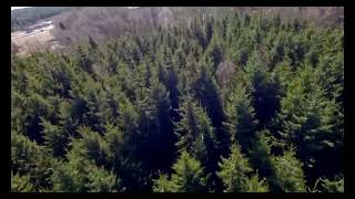 DJI FPV  drone fpv video