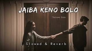 Jaiba keno bolo ( slowed reverb) MHS LOFI VIBES 2.O