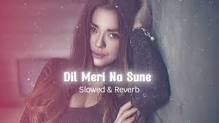 dil meri na sune ( slowed + reverb ) | Atif Aslam | @chillvibes-e1x