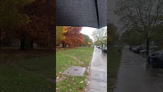 #RainSounds#WalkingInTheRain#RainyCity#RainASMR#WetStreets