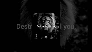 Destroy the old you before..... #shorts #you #lion #lionmotivation