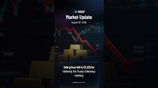 Daily Market Update: August 19, 2025 #BTC #Gold #Euro