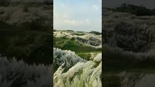 Kono ak Rupkothar Jogote