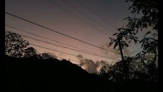 Seim - Killer Instincts