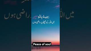 #Quran#Allah#islam#quranforanxiety#qari #quranrecitation#Muhammad#peaceofsoul