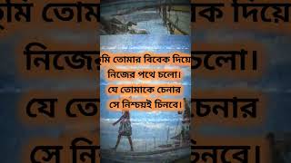 তুমি তোমার বিবেক দিয়ে, নিজের পথে চলো। যে তোমাকে চেনার সে নিশ্চয়ই চিনবে।