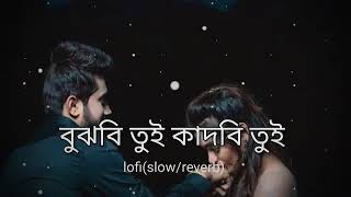 PAINA TOKE | বুঝবি তুই কাঁদবি তুই | Bujhbi Tui Kadbi Tui | Imran Feat Milon & Konal | lofi song slow