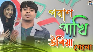 পৰাণ পাখি ওড়িয়া গেলো | Poran pakhi uria gelo | Sad song 😔 Singer :- Faruk ♡| Marfaruk Studio ||
