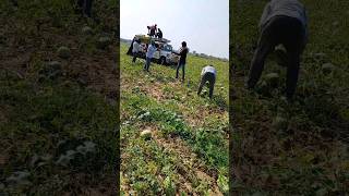 labour's kastalu #bgm #cute #song #love_status_video #emotional_cute #viralvideo #whatsapp_status