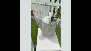French Farmhouse Carved Accent Table