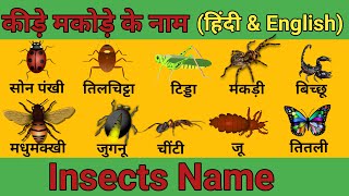 Insects name in english | कीड़े मकोड़े के नाम हिंदी और इंग्लिश में | insects name