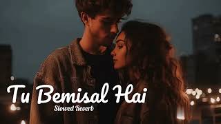 Tu Bemisal Hai Slowed Reverb