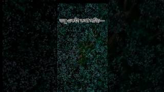 Bengali Sad WhatsApp Status🥀 Heart Touching Shayari💔 Status#shorts#sadstatus#brokenBroken Video❤️‍🩹