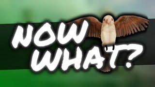 What To Do Next in Soulframe | P10 Content Guide