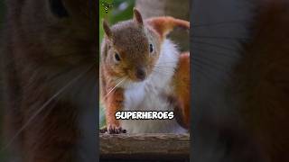Animals With Superpowers Like Your Favorite Superheroes! #facts #animalfacts #wildlife