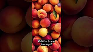 #reels #reelvideo2024 #reelsvideo