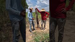 “Global Black Beauty: An AI Journey”