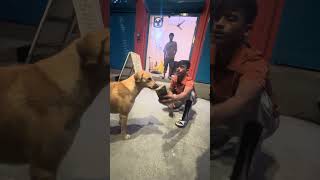 4th vlog with friends 🤣😅||.   #vlogsvideo #vlog #funny #comedy