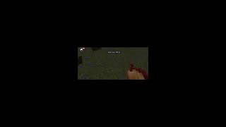 MINECRAFT LIVE STREAM