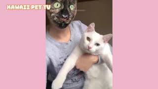 4分間耐えたら100万円「絶対笑ってしまう。どうぶつ動画集」#2