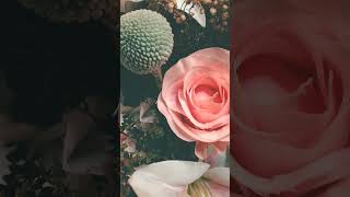 may flowers 🌹 work Saudi Arabia 💐 now video dhikna KY lyea like and shskrib my chnal