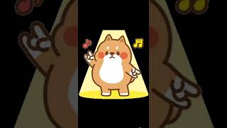 cute #cute #dance #edit #teddy #cat