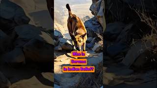 Who is Sarama in Indian Belief?