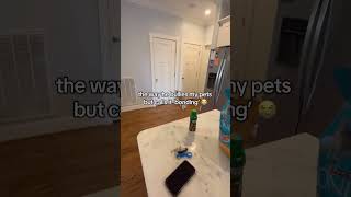 Pesters anything with fur #boyfriend #couplescomedy #scaringpets #petsoftiktok #catsoftiktok