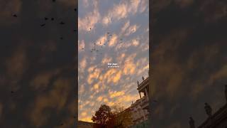 Kya haal hogya h ye mera🫠 | kaise hua | lyrical edit whatsapp status #trendingsong #love #kaisehua