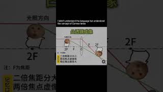 images formed by a convex lens image lens physics #opticlelens #physicsbehindlens