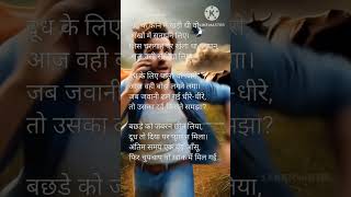 #lifelessonsinhindi