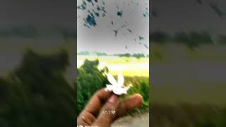 Natural view xml file❤️ ||  xml file || trending xml || viral xml || #xml ||  alight motion xml file