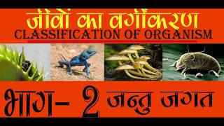 Taxonomy: Life's Filing System  I Diversity in Living Organisms Part 2 I Animal Kingdom
