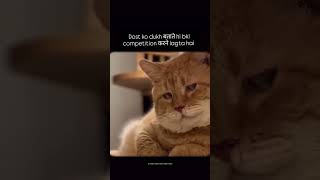 #trending #explore #meme #funny #reletable #viralreelsindia #yourubeshorts #youtube