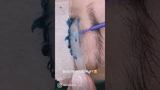 Lash curling