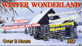 Over 2 hours of Snowing and Snow storms, winter scenes and snowy landscapes   No Sound