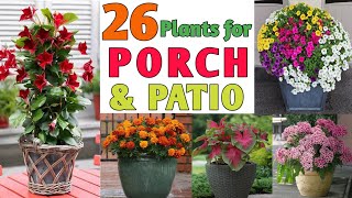 26 Best Plants for Porch and Patio | Porch Plants | Patio Plants | Plant and Planting