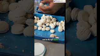 Dough Kneader Machine | Aata Goonthne Ki Machine | आटा गूंथने की मशीन