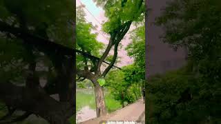 Joto bar bhabi ….. #newsong #song #love #hridimakhan #bangladesh