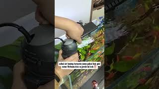 #aquascape #aquarium #aquascapegallery #fishtank #music #fishtankdesign #aquascapelowtech #fish