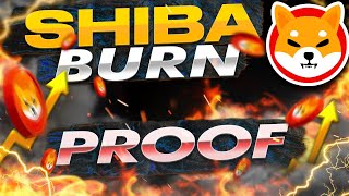 BURNING SHIBA INU Coins | 🔥FULL MONTH REVENUE BURN 🔥| Shiba Inu Burn
