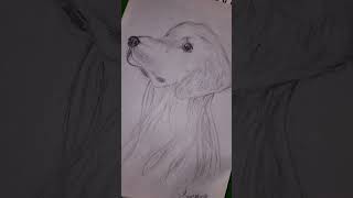 #artreelsvideo #explorepage #artistreels #sketch #artreel #artist