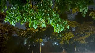 Night Rain on City Streets – Soothing Rain Sounds to Sleep, Study and Relax
