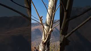 meri zindagi hai tu song,meri zindagi hai tu,meri zindagi hai tu - full song,hindi songs;