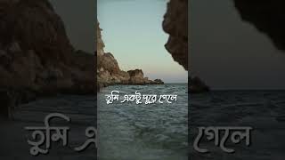 Tumi Amar Onek Shokher (Lofi Remake) তুমি আমার