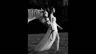 The Journey of Dreams: #inspiration  #horseriding #horselover #viralvideo #entertainment #trending