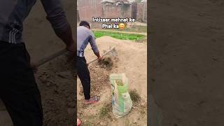 Mehnat ka phal dekho kb mile 😀 dragon fruits repoting #dragonfruit #mehnatkaphal #mehnat #shorts