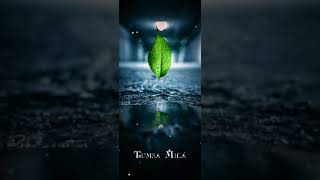 Mere😩yaara🌹Arijit singh🌹sooryavanshi 👍Status🥀maan😩ja🥺na😌🥀🥀🥀🥀🥀🥀🥀🥀🥀