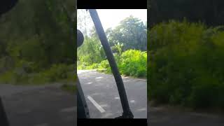 গ্রামের পথ #Shorts #viralshorts # youtube short #village #relax