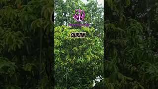 ya Allah KiRehmat🌧️Quran #Tarjuma #HindiIslamicVideo #Allah#Namaz #InsanKamyabHoga# #QuranKaPaigham#